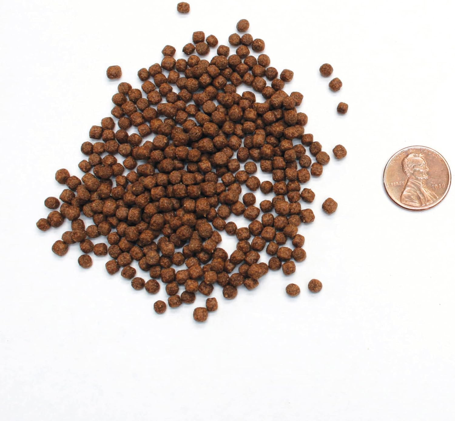 Aquascape Premium Cold Water Fish Food Pellets for Small to Medium Koi & Pond Fish, Small Pellet, 2.25 pounds | 98871 13 7130T3WNGXL. AC SL1500 - supfishing.co.uk
