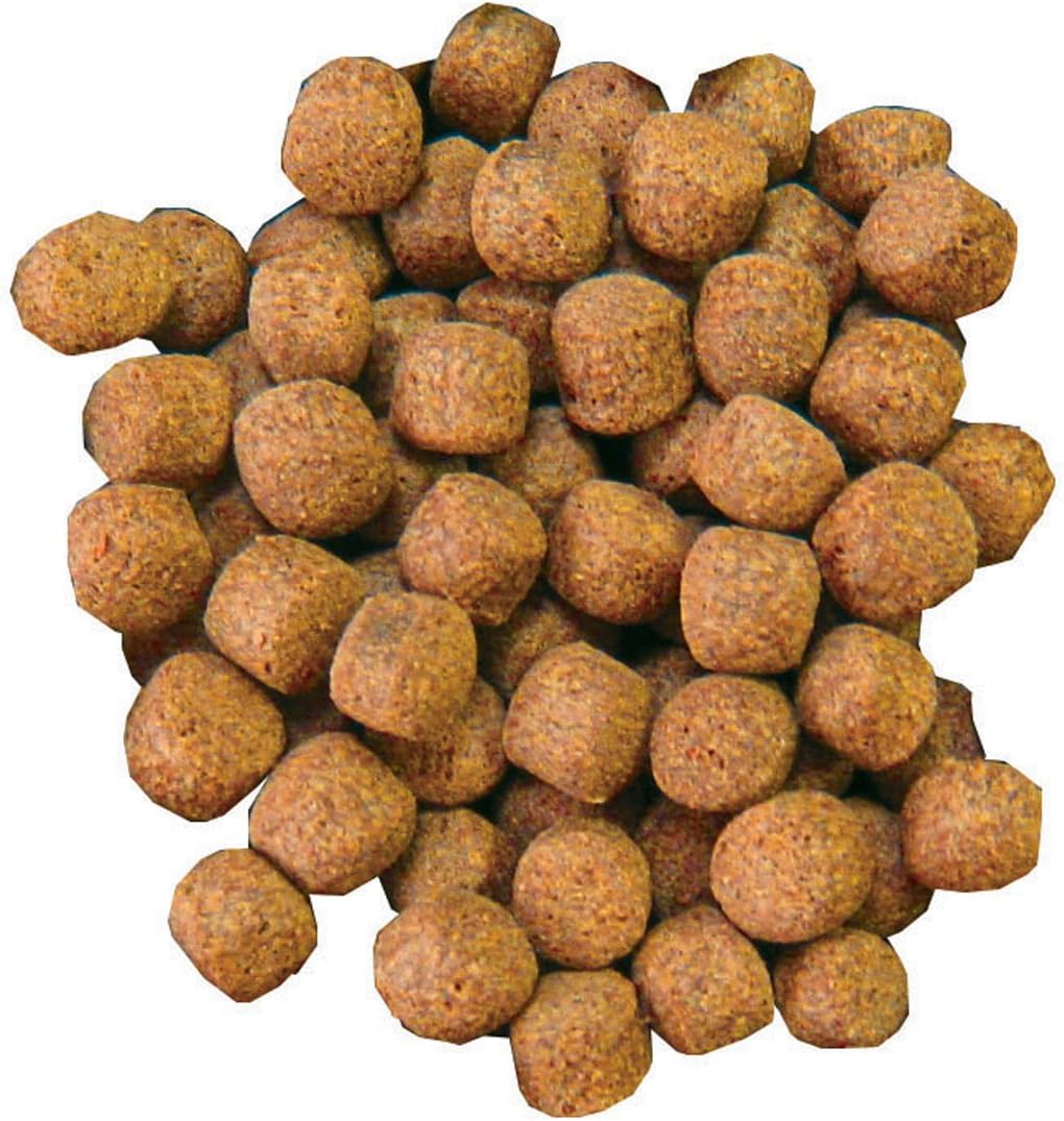 Aquascape Premium Cold Water Fish Food Pellets for Small to Medium Koi & Pond Fish, Small Pellet, 2.25 pounds | 98871 3 71FZUt4qOBL. AC SL1200 - supfishing.co.uk