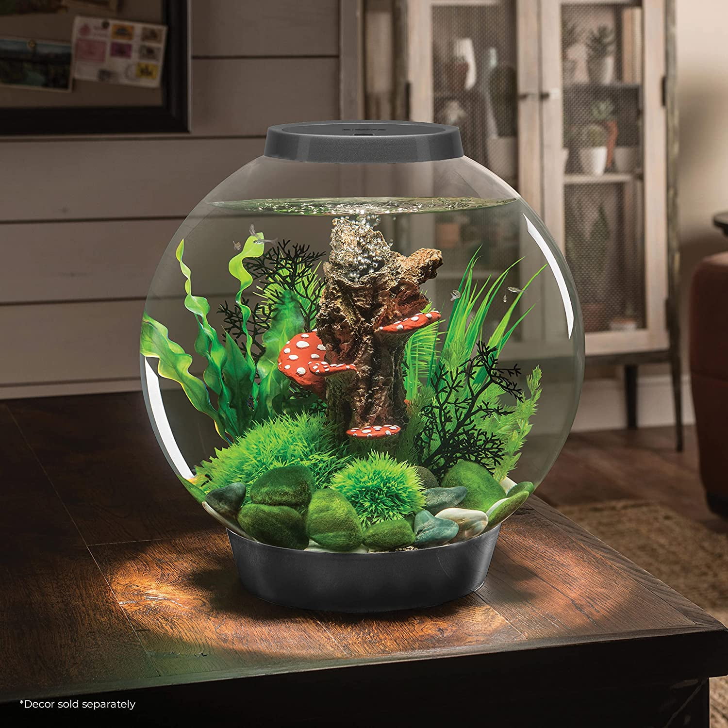 biOrb CLASSIC 30 Aquarium with Standard Light - 8 Gallon, Silver 2 2d37df23 9e80 4e38 a630 85940ea4ea18.3866d5929d9aa6d6a974a0938ae78c4b - supfishing.co.uk