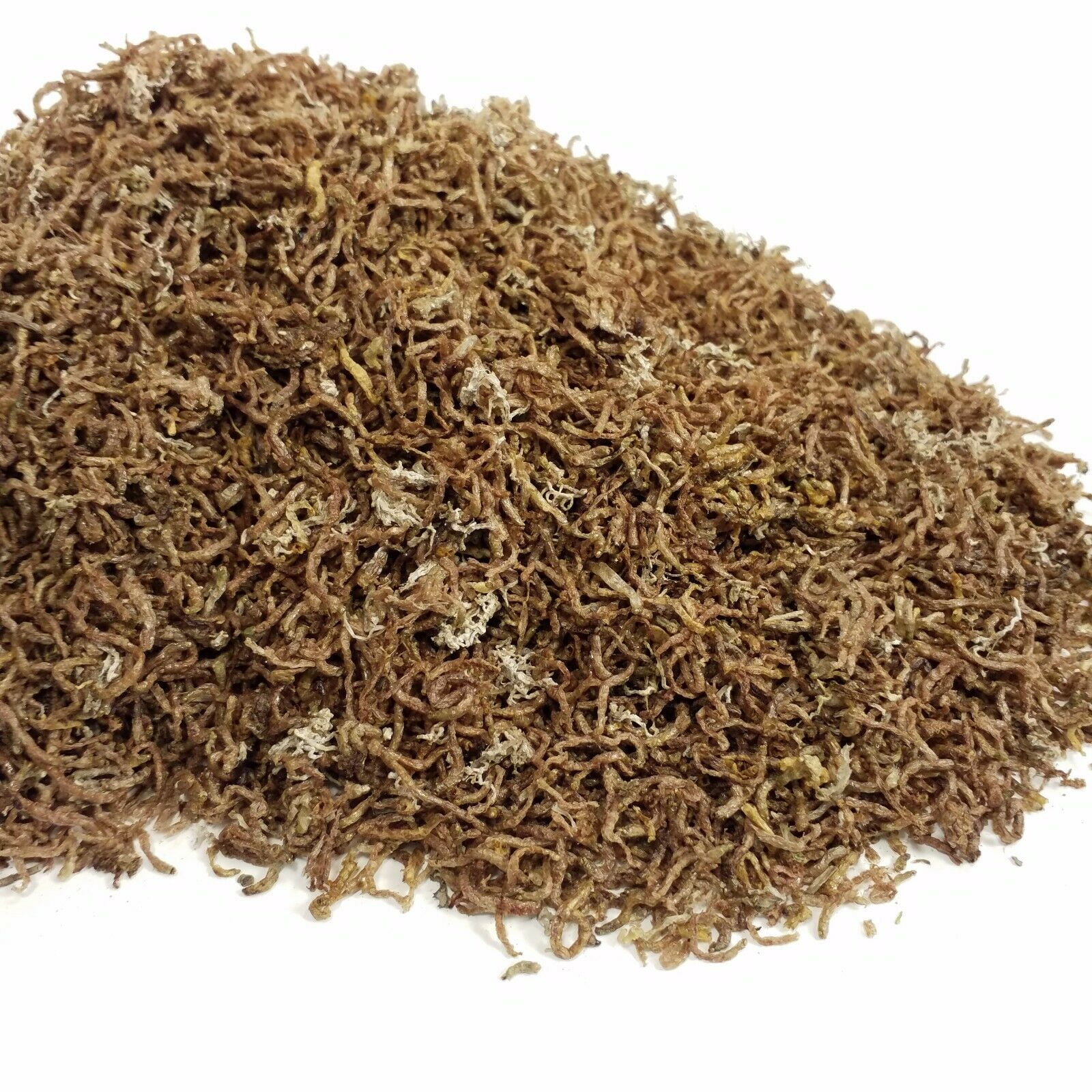 Bloodworms, Freeze Dried with Loose Tubifex Worms Mix. Grade A Bloodworms…2-lbs 1 59b3f163 2754 4b88 9a1d 8abd987c02f6.514ca32c5e0d70e7d9bc99508e882ee8 - supfishing.co.uk