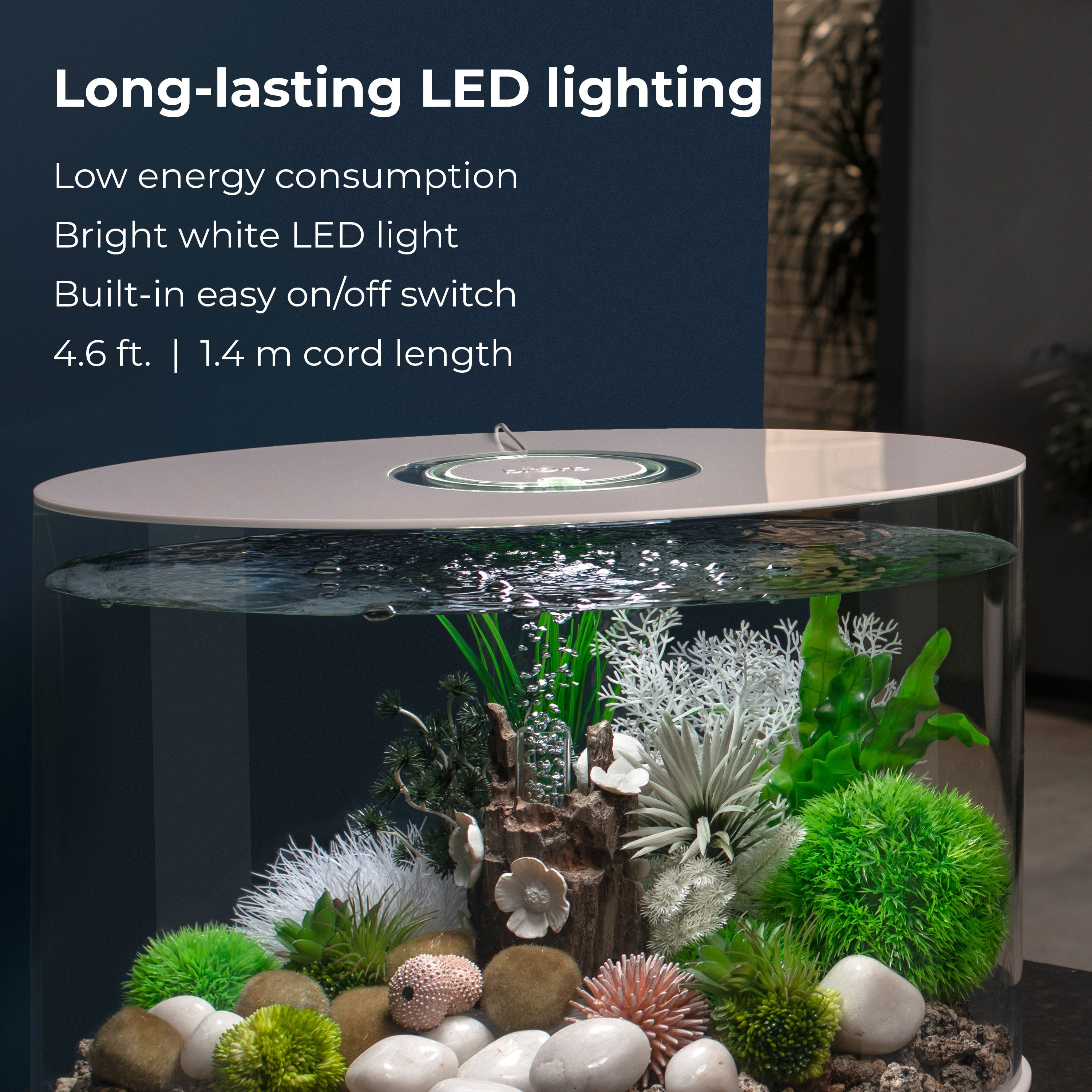 biOrb LOOP 30 Aquarium with Standard Light - 8 Gallon, White, Acrylic 4 9c56572c 1deb 41f4 ac8f 1438c98d93e6.c907d398981f57198d6608df16fc06bf - supfishing.co.uk