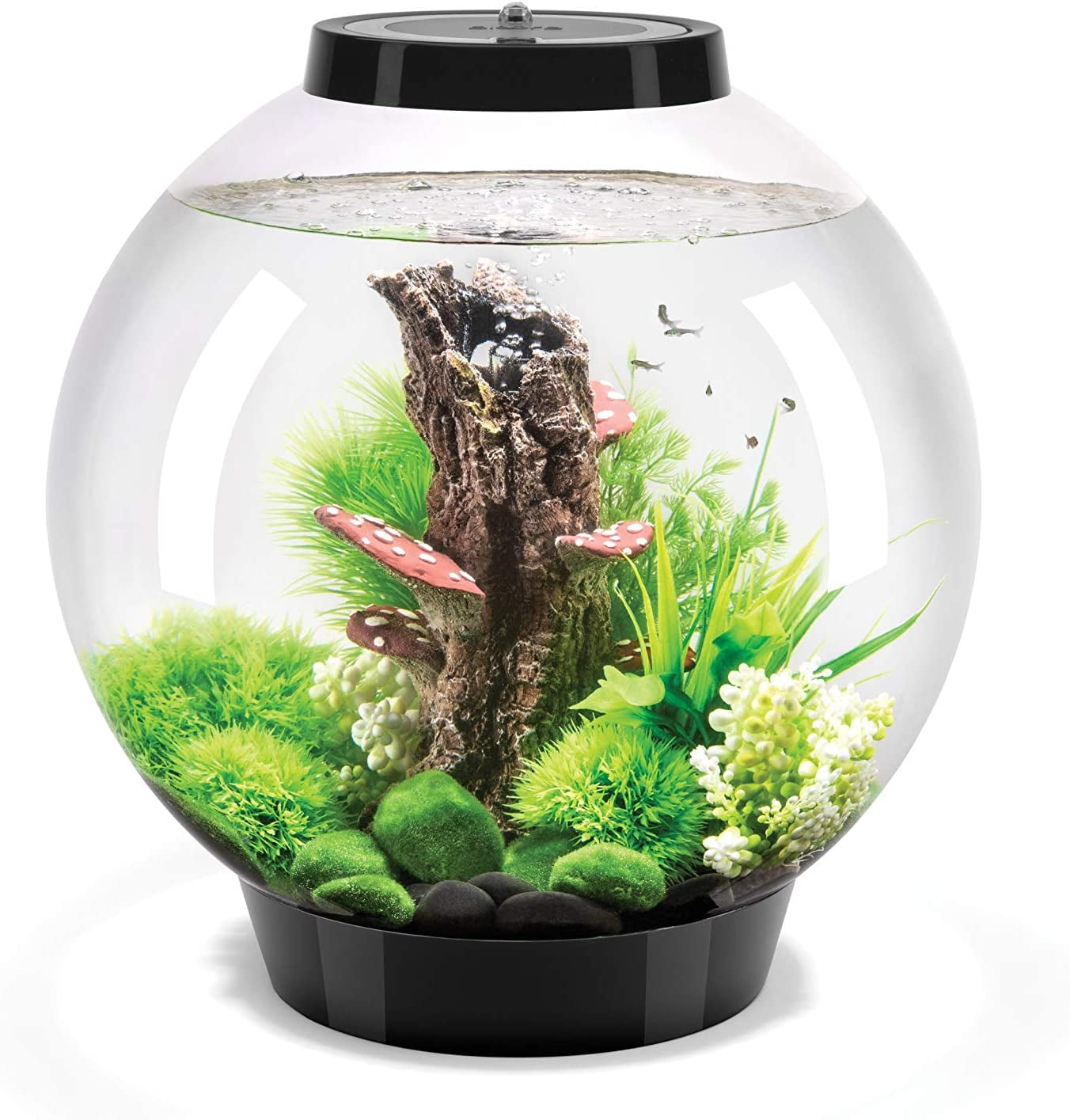 biOrb CLASSIC 30 Aquarium with Standard Light - 8 Gallon, Silver 9 biOrb CLASSIC 30 Aquarium with Standard Light 8 gallon black d51150f0 ed45 499c a1cc 49fc4f2e13bb.33d03eeb6bd4fbf27a9e16925ee17552 - supfishing.co.uk