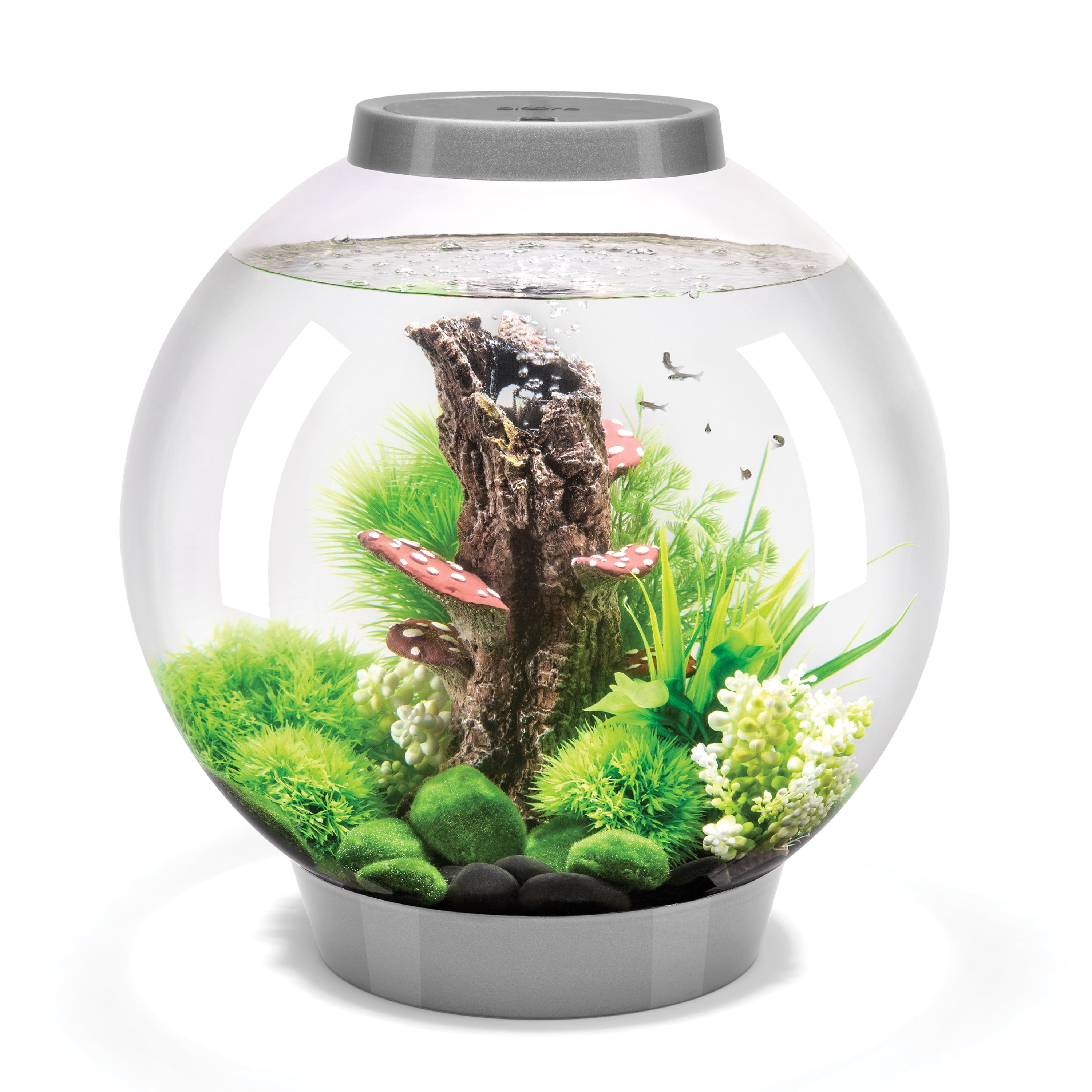 biOrb CLASSIC 30 Aquarium with Standard Light - 8 Gallon, Silver 1 biOrb CLASSIC 30 Aquarium with Standard Light 8 gallon silver 8702447a fa09 42e4 bf51 6cd3ce58f91a.2a9604308feb6c7bd1176c57b187669b - supfishing.co.uk