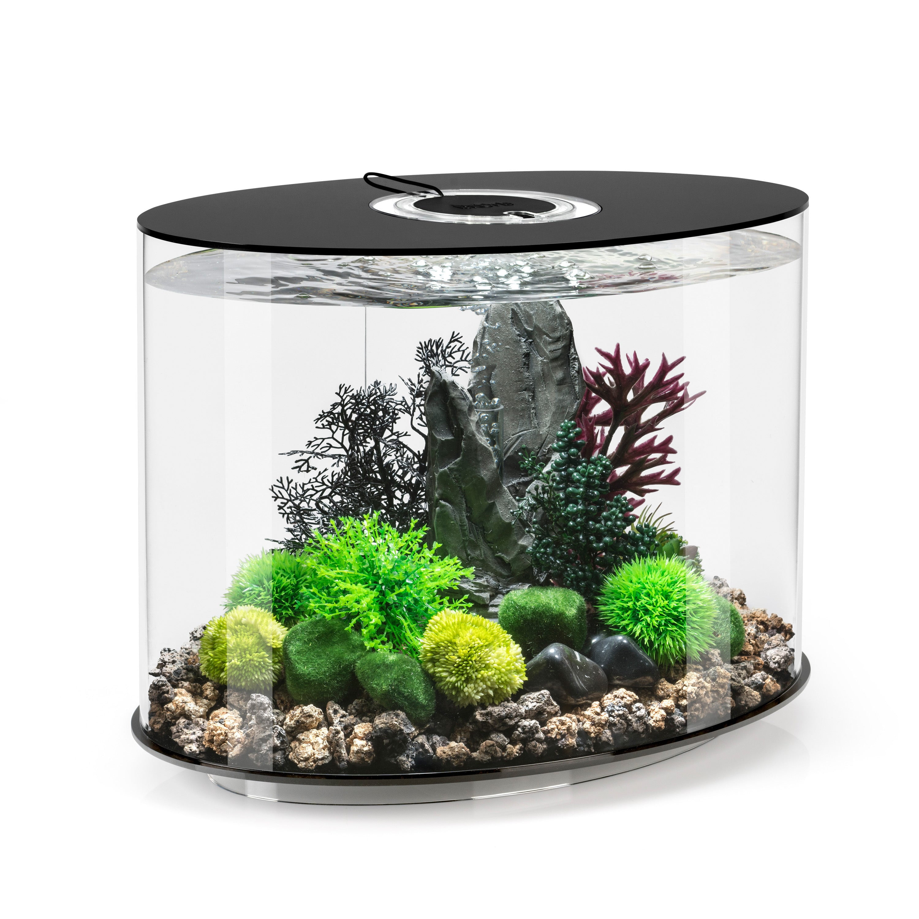 biOrb LOOP 30 Aquarium with Standard Light - 8 Gallon, White, Acrylic 7 biOrb LOOP 30 Aquarium with Standard Light 8 gallon black 8f85245b 88cd 4ad6 a259 752f9b697d78.000397b5fa0c56fa56d47beb604a39fb - supfishing.co.uk