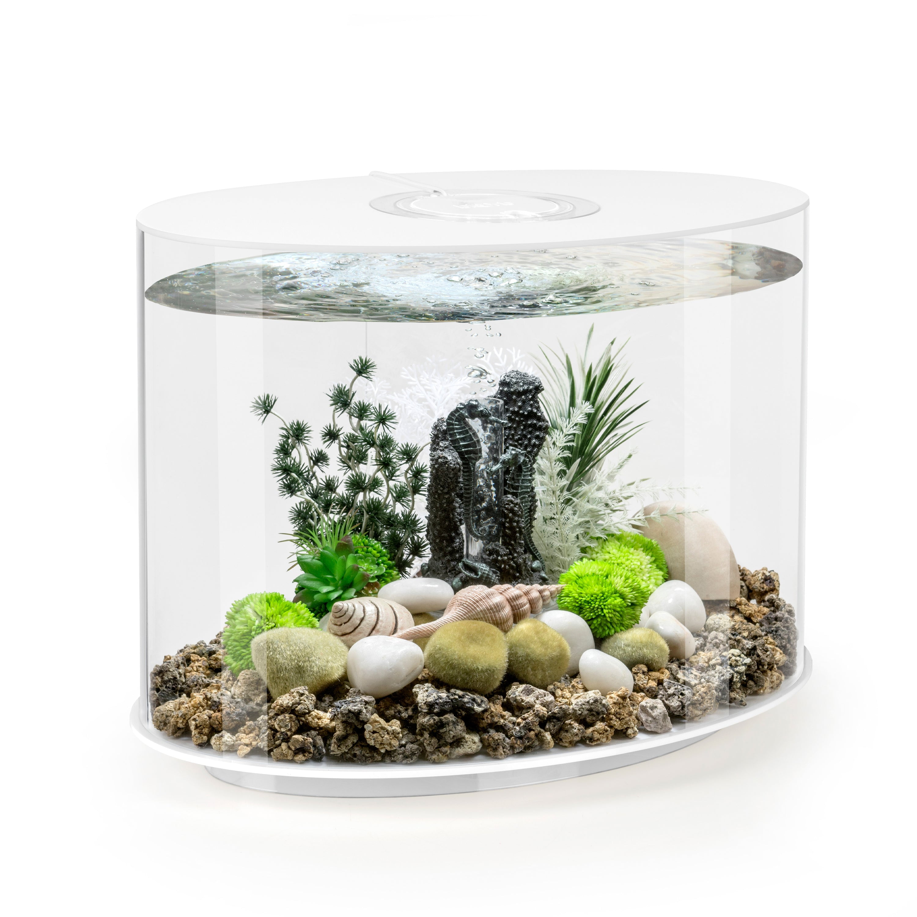 biOrb LOOP 30 Aquarium with Standard Light - 8 Gallon, White, Acrylic 1 biOrb LOOP 30 Aquarium with Standard Light 8 gallon white 56b4c9be c254 4171 b0b9 ef50dfd7deb9.59c220c645b8c0d8622f94d62518ff55 - supfishing.co.uk