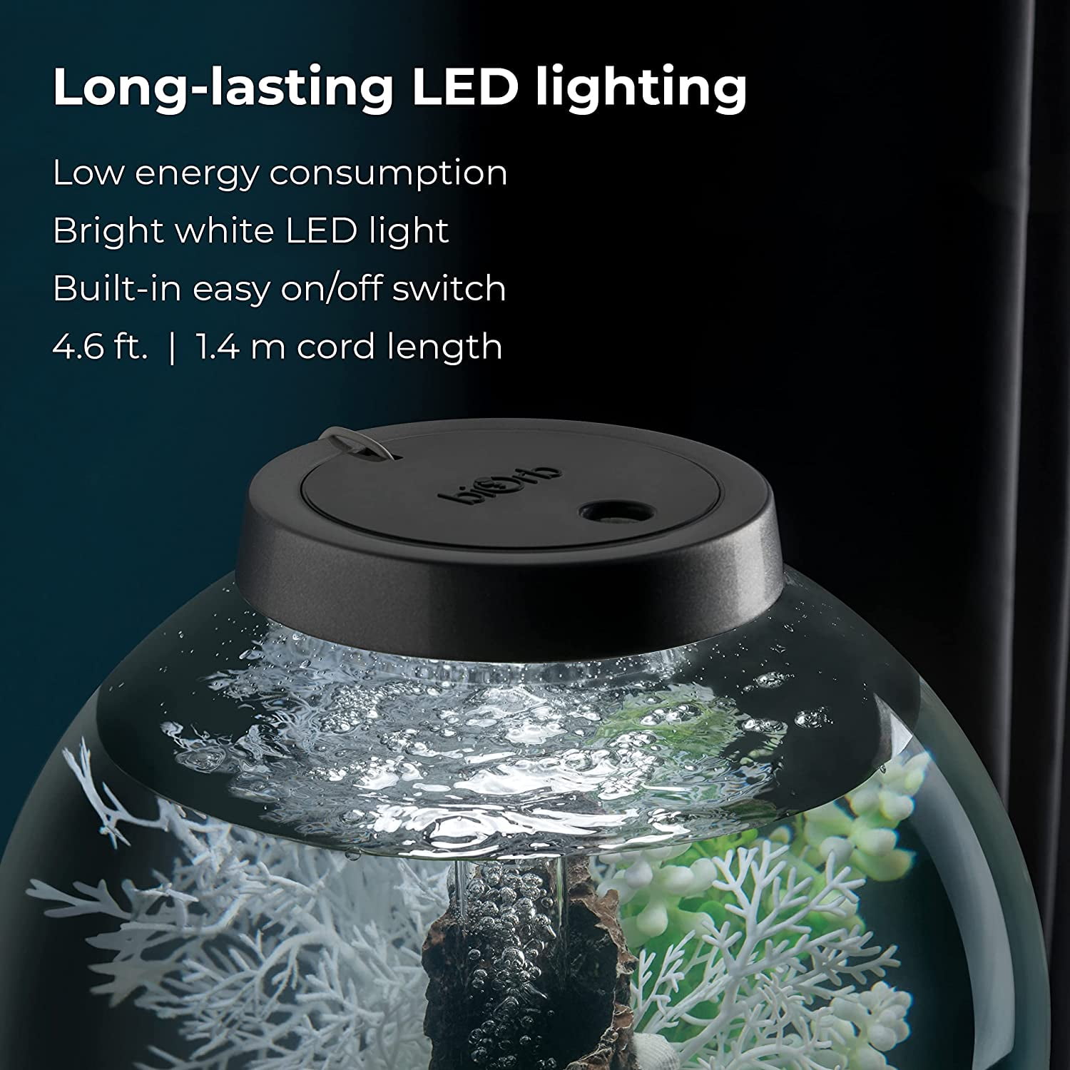 biOrb CLASSIC 30 Aquarium with Standard Light - 8 Gallon, Silver 5 d53b59f9 78bf 48bc aa26 fa028340468a.5da44c6c194e4391ee80ac8927b5c580 - supfishing.co.uk