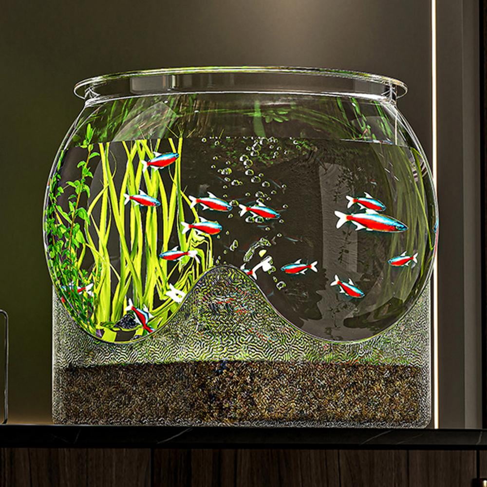 MezoJaoie Fish Bowl Vase Clear Aquarium Fish Tank Small Aquariums Flower Vase Centerpiece Desktop Aquarium for Betta Fish Turtle effectual 6 e409dc3b f5ca 4904 8aba 47f39766effb.1a68b44c490f6d6763ca50e6f1f7ab7c - supfishing.co.uk
