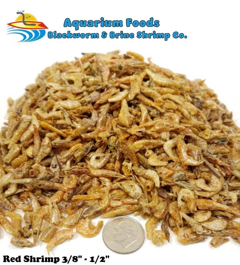 Freeze Dried Red Shrimp 3/8"-1/2" - Tropical Fish, Marine Fish, Koi Fish, Turtles…2-lb 1 Freeze Dried Red Shrimp 3 8 1 2 Tropical Fish Marine Fish Koi Fish Turtles 2 lb 875801b0 48cd 4287 9135 caed4157c260.8d34a4db7b9b863d5706c94df2b2be54 - supfishing.co.uk